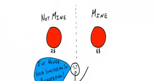 Các thiên kiến trong tài chính hành vi - biases in behavioral finance