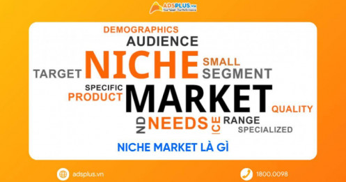 Niche Market là gì? Bí quyết để doanh nghiệp nhỏ thắng lớn năm 2026