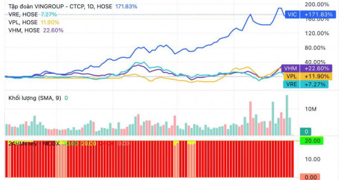 Chưa từng có tiền lệ! Nhóm Vingroup đóng góp tới 67% mức tăng của VN-Index