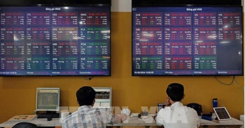 Quy định mới: Người hành nghề chứng khoán phải tập huấn tối thiểu 8 giờ mỗi năm