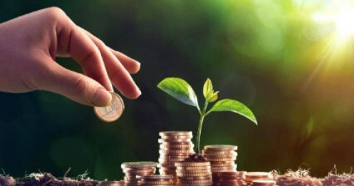 5 DN trả cổ tức bằng tiền đầu tháng 1/2026, cao nhất 25%