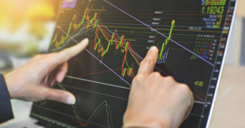 Vì sao DGW  khó có được định giá như MWG?