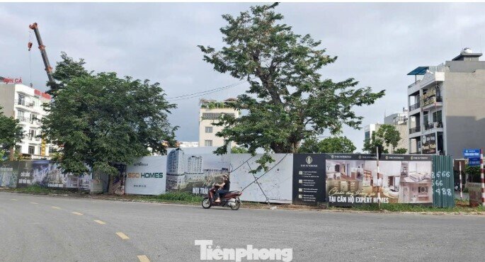 'Choáng' với giá chung cư ở tỉnh lẻ 'nhảy múa' lên đến 80 triệu đồng/m2