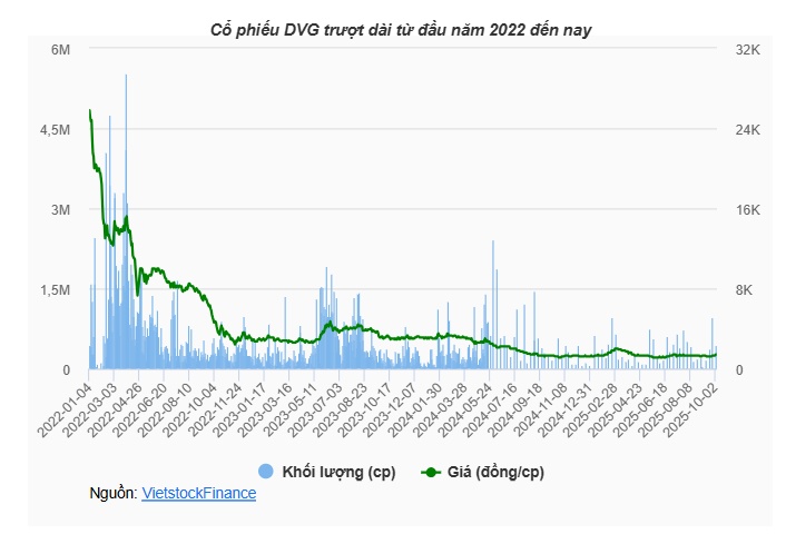 DVG bán đứt 2 công ty con giá tối thiểu hơn 200 tỷ, rẽ hướng đầu tư mảng lâm nghiệp