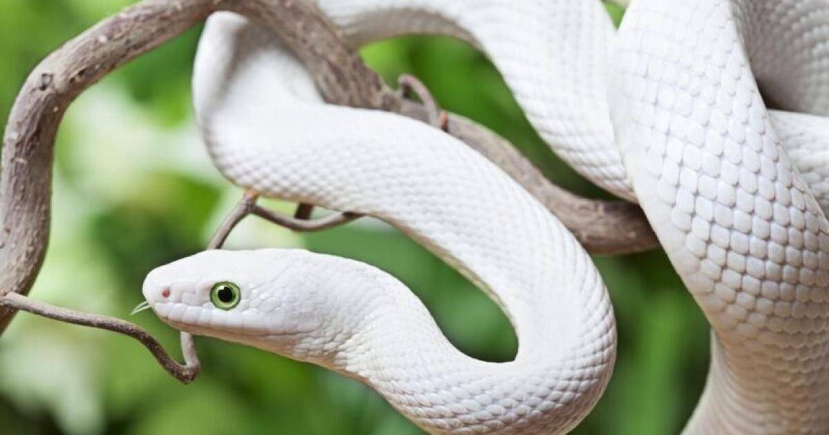 Tam Tai hóa “lộc trời ban”: 3 con giáp ngồi không cũng có tiền tỷ rơi vào túi