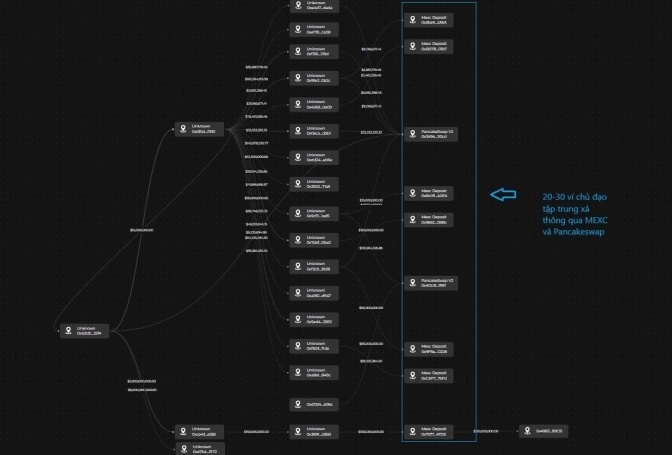 Dự án tiền số AntEx liên quan Shark Bình hoạt động ra sao?