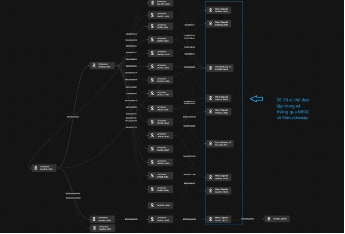 Từ 'cá mập' công nghệ đến bê bối lừa đảo của Shark Bình