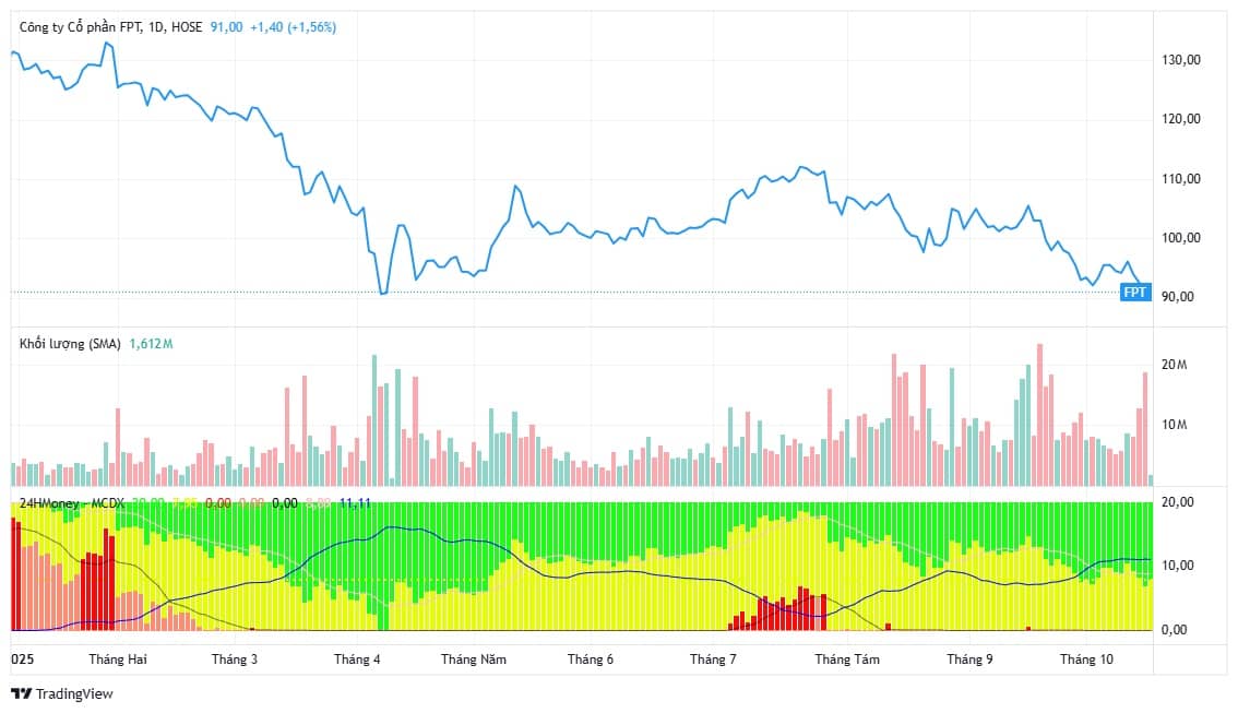 9 tháng sau phát ngôn “thời tới cản không kịp” của ông Trương Gia Bình, cổ phiếu FPT bất ngờ "thủng" mốc 9x