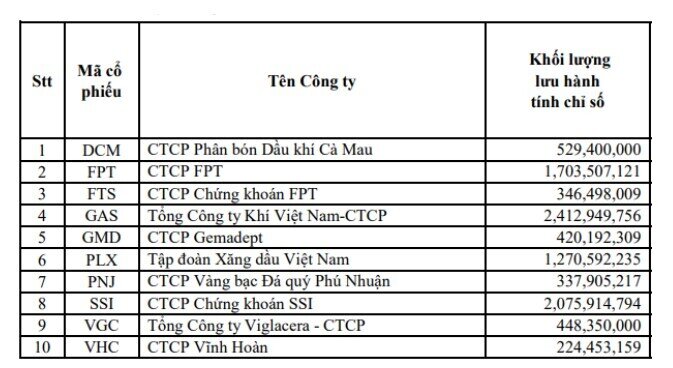 10 mã chứng khoán lọt rổ cổ phiếu tăng trưởng chi trả cổ tức VNDIVIDEND