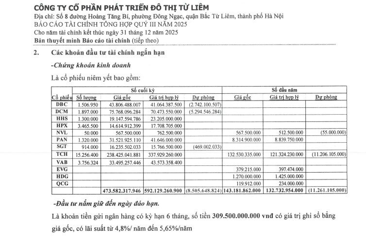 Một doanh nghiệp BĐS thoát lỗ ngoạn mục nhờ đầu tư chứng khoán