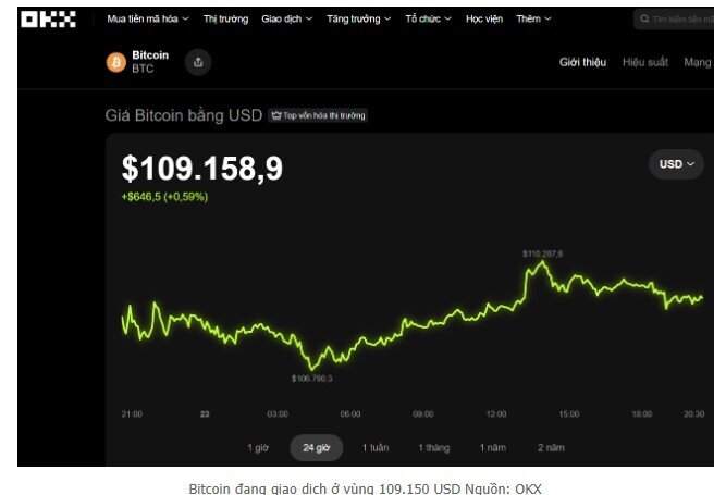 Bitcoin vẫn đối mặt nguy cơ giảm sâu