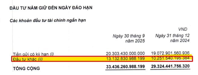 Thế Giới Di Động thắng lớn nhờ “nghề tay trái”, CEO Vũ Đăng Linh nói gì về bí quyết?