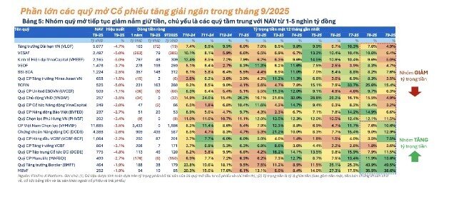 Loạt quỹ mở đẩy mạnh giải ngân mua cổ phiếu trong tháng 9