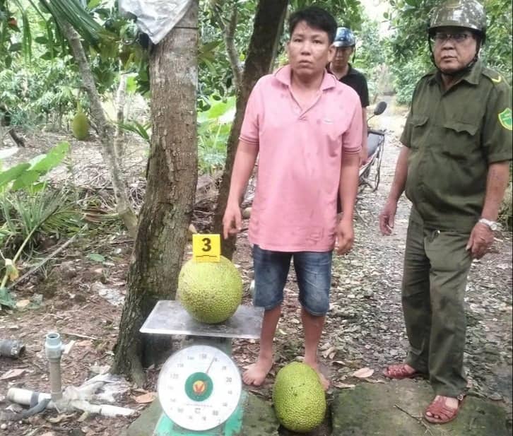 Trộm 2 trái mít trị giá 387.000 đồng bị khởi tố