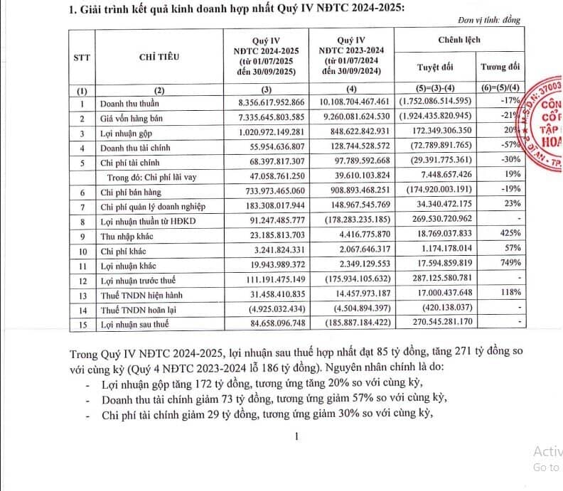 Lợi nhuận sau thuế niên độ 2024 - 2025 của Hoa Sen đạt 732 tỷ đồng