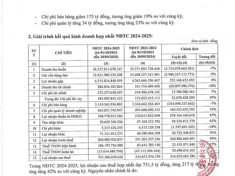 Lợi nhuận sau thuế niên độ 2024 - 2025 của Hoa Sen đạt 732 tỷ đồng