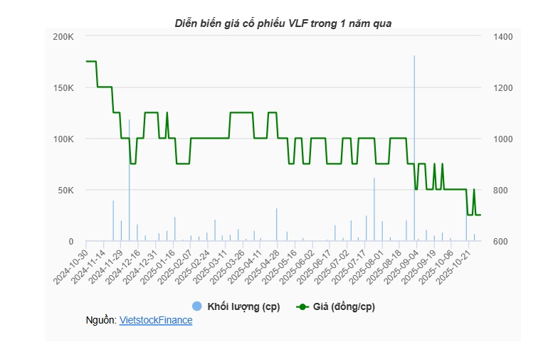 VLF bị phạt 235 triệu đồng do hàng loạt vi phạm công bố thông tin