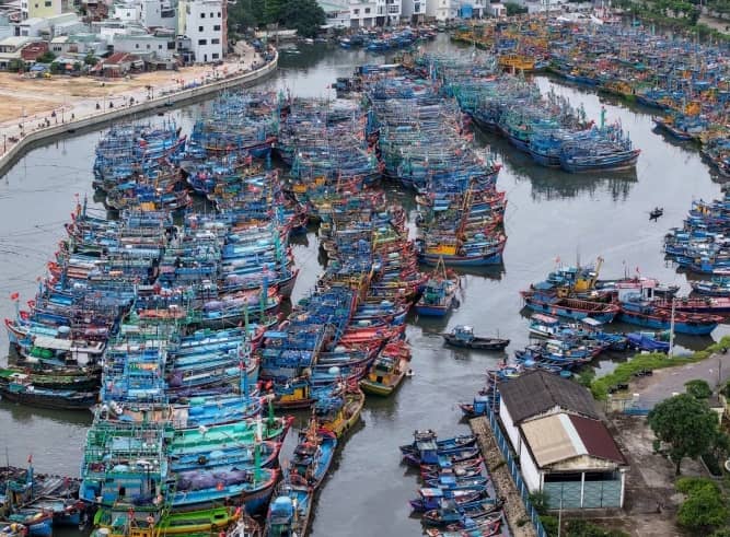 'Kalmaegi là bão mạnh hiếm gặp trong tháng 11'