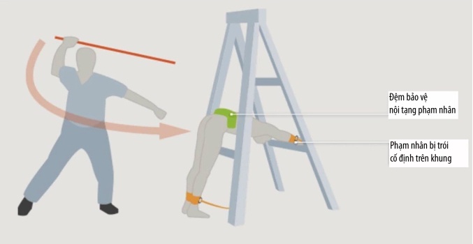 Singapore sẽ phạt roi kẻ lừa đảo trực tuyến