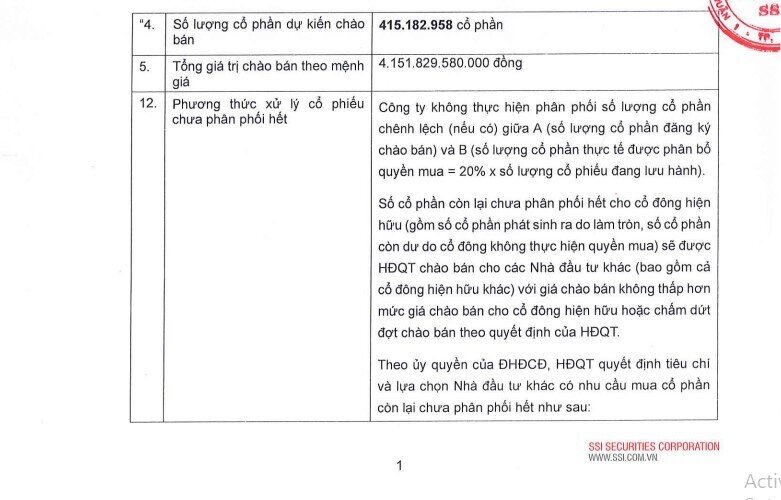 SSI điều chỉnh kế hoạch huy động 6.227 tỷ đồng, 'bơm' 3.113 tỷ cho margin