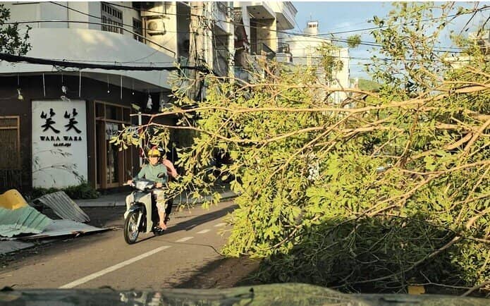 Bão số 13 đi qua, Gia Lai thiệt hại nặng nề