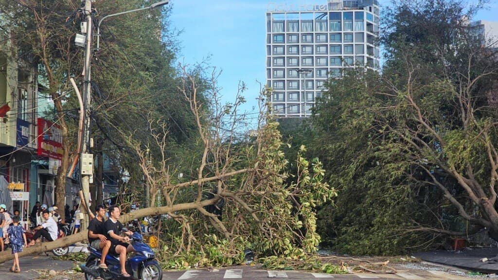 Cảnh tượng bão số 13 càn quét ở Gia Lai, thiệt hại ước tính hơn 5.000 tỷ đồng