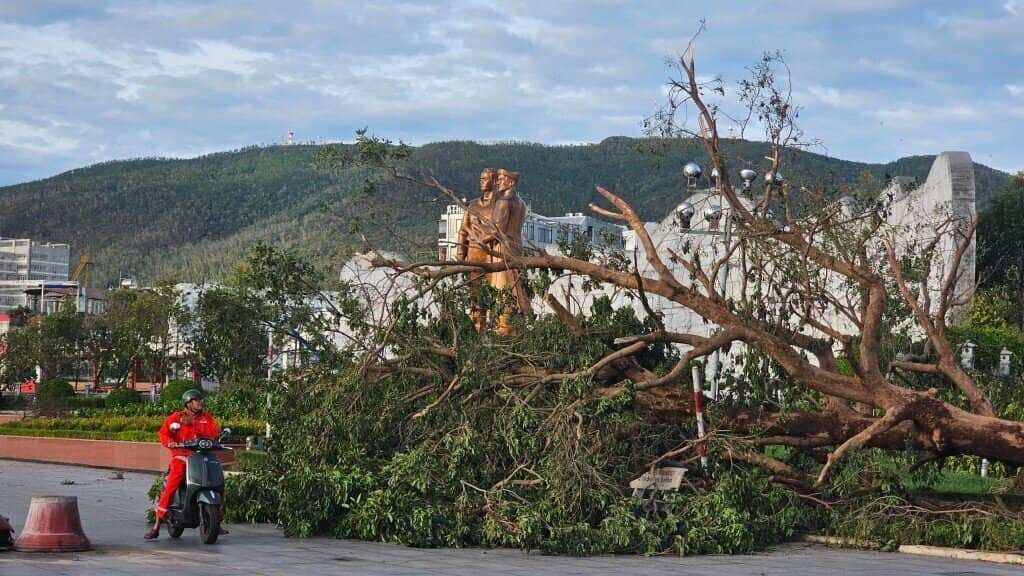 Cảnh tượng bão số 13 càn quét ở Gia Lai, thiệt hại ước tính hơn 5.000 tỷ đồng