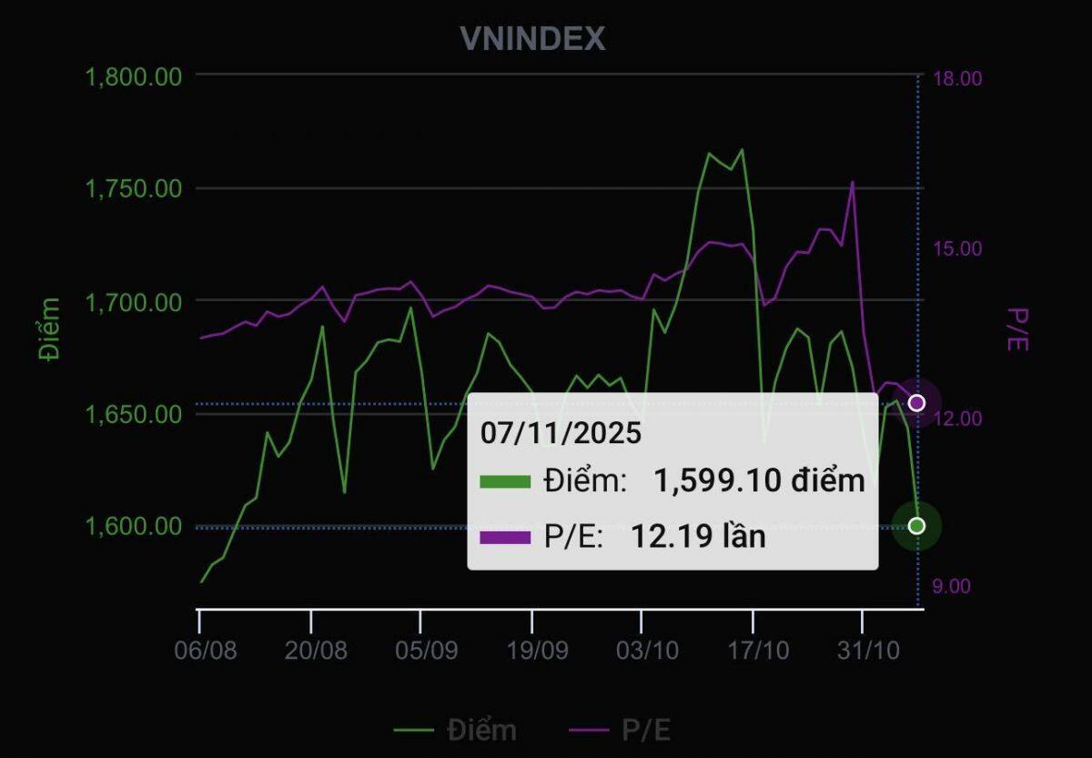 VN-Index giảm mạnh xuống dưới mốc 1.600 điểm, P/E thị trường còn 12,19 lần