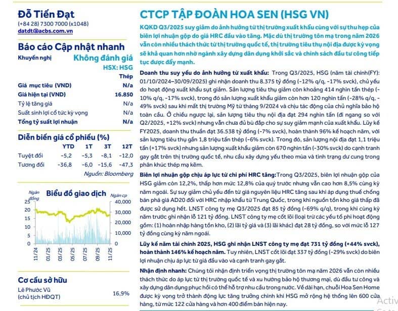 Hoa Sen báo lãi tăng 44%, các chuyên gia cũng không đưa ra đánh giá về cổ phiếu HSG