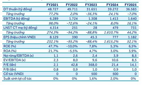 Hoa Sen báo lãi tăng 44%, các chuyên gia cũng không đưa ra đánh giá về cổ phiếu HSG
