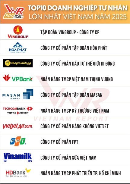 10 DN tư nhân lớn nhất Việt Nam 2025