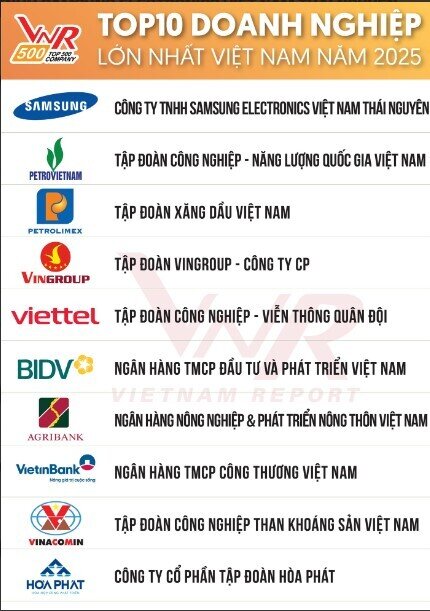 10 DN lớn nhất Việt Nam năm 2025