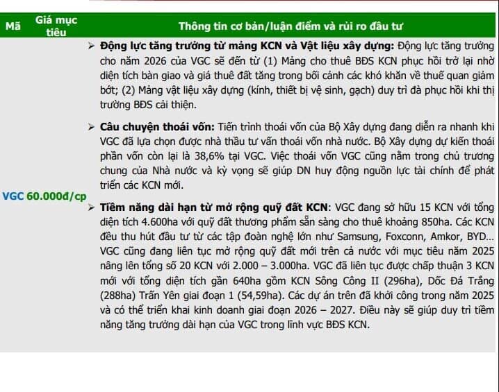 61.000 tỷ đồng 'của để dành' tại nhóm BĐS KCN: Soi những doanh nghiệp có dư địa bứt phá mạnh nhất