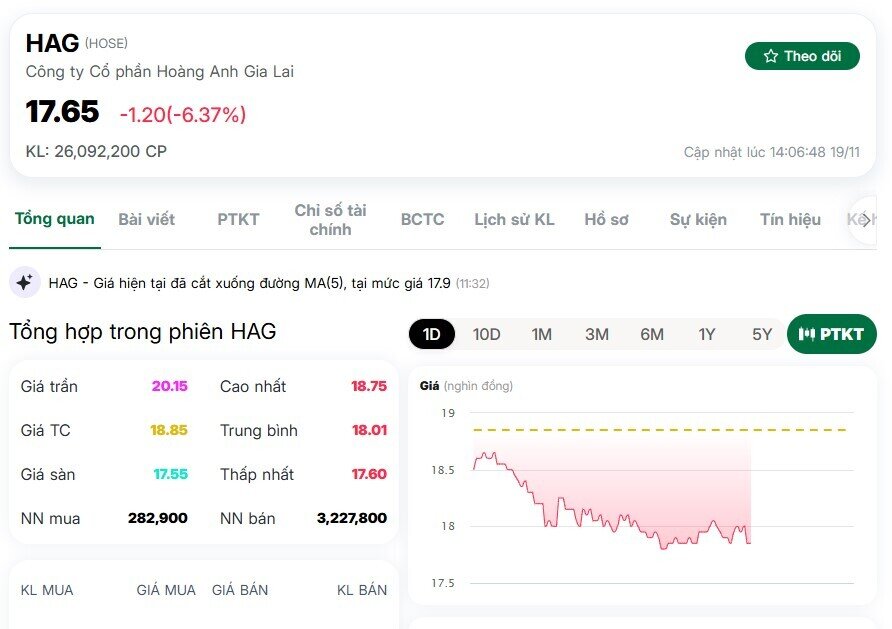 Cơn bán tháo cổ phiếu HAG