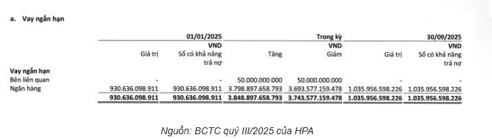 Lãnh đạo Hòa Phát dùng cổ phiếu HPG làm tài sản bảo đảm cho các khoản vay HPA