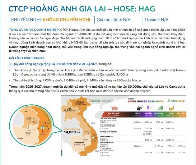 Sếp HAG bất ngờ tiết lộ “khối tài sản ngầm khổng lồ” chưa từng xuất hiện trên BCTC