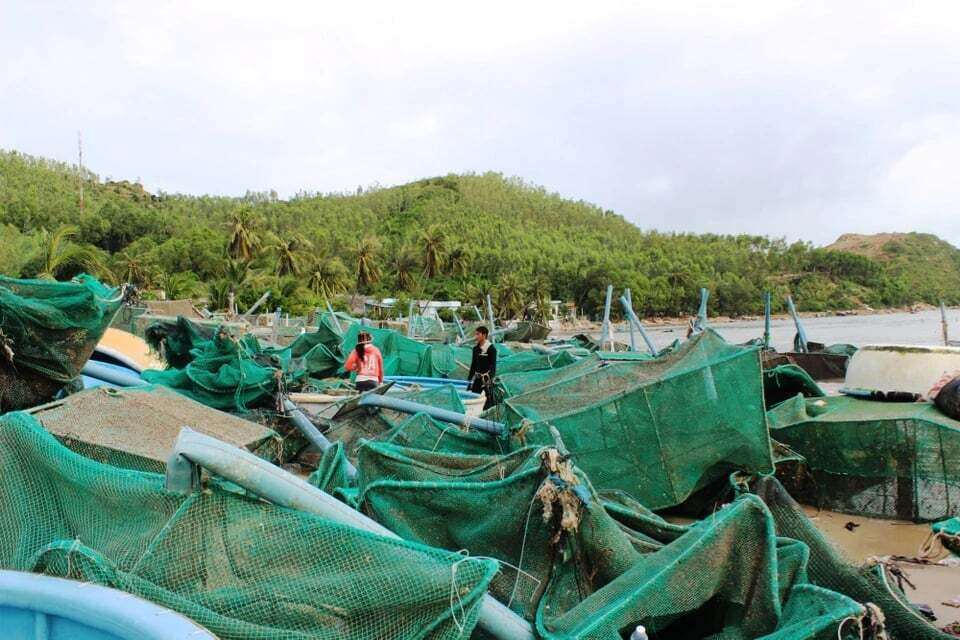 Đêm nước bạc cuốn trôi cơ nghiệp: Người nuôi tôm hùm Đắk Lắk mất trắng hơn 2.400 tỉ đồng