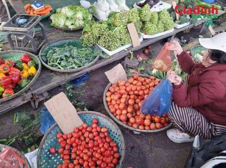 Sau mưa bão, tôm hùm Phú Yên tìm nơi giải cứu từ 180.000 đồng/kg, người dân ở Hà Nội 'đo đếm' từng cọng hành vì rau xanh đắt đỏ