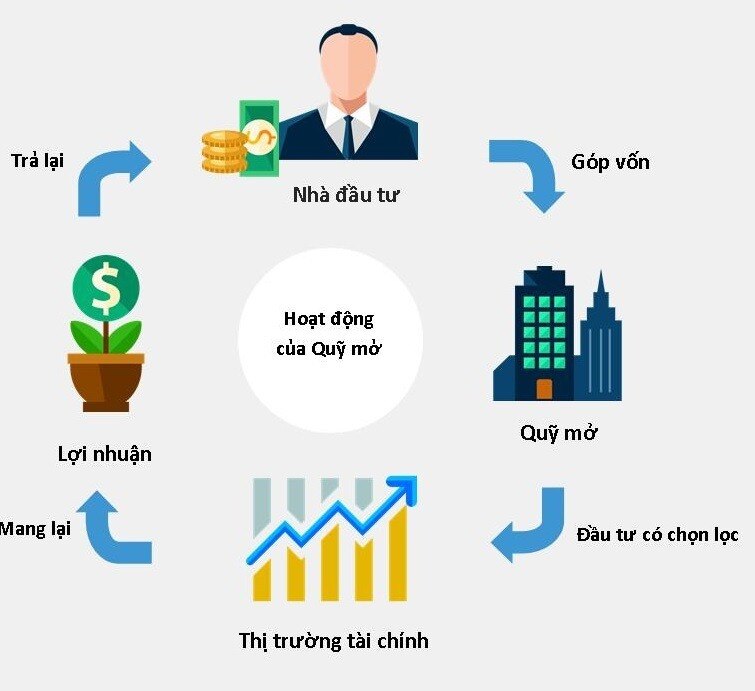 Đầu tư an toàn dù “mù” phân tích