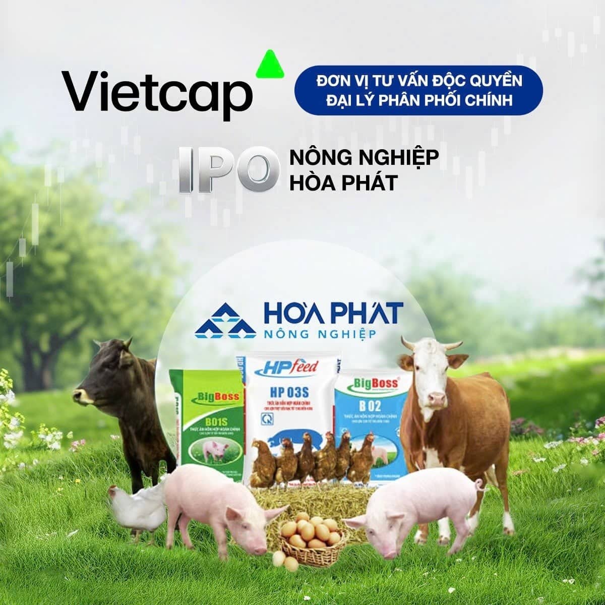 HPA IPO nâng tầm cổ phiếu nông nghiệp