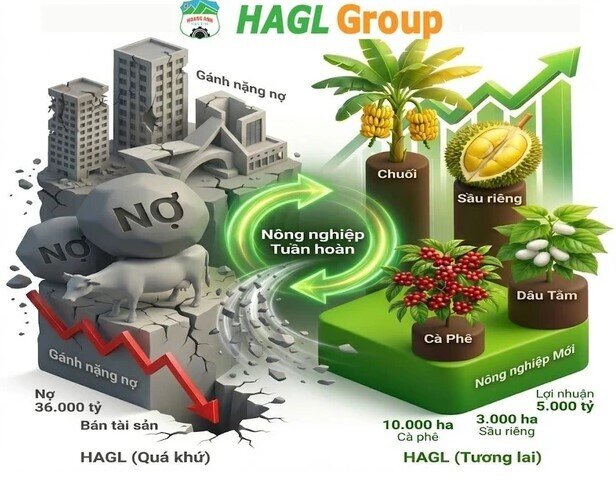 Từ bất động sản đến trái cây: HAGL hé lộ kế hoạch “xoay trục” mới