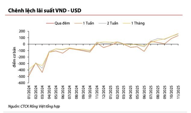 Tâm lý găm USD đẩy chênh lệch tỷ giá VND lên mức đáng lo