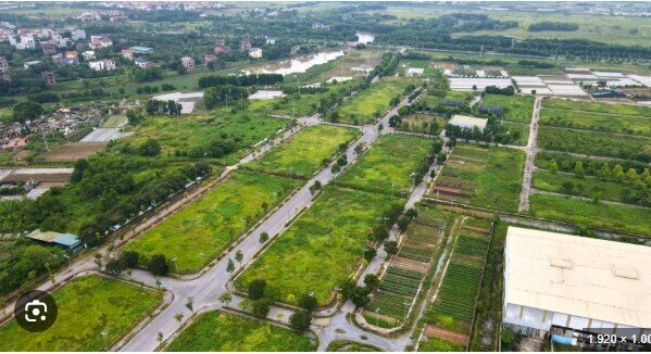 Bong bóng hay tái định giá đất