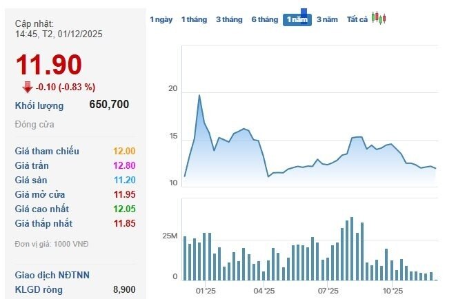 Cá mập “hô” VN-Index lên 3.200 điểm vừa chi hàng chục tỷ gom cùng lúc 2 mã cổ phiếu