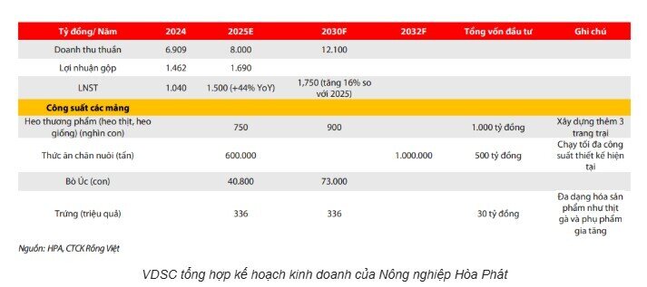 Tại sao lợi nhuận gộp của Nông nghiệp Hòa Phát (HPA) dự báo giảm? VDSC giải thích