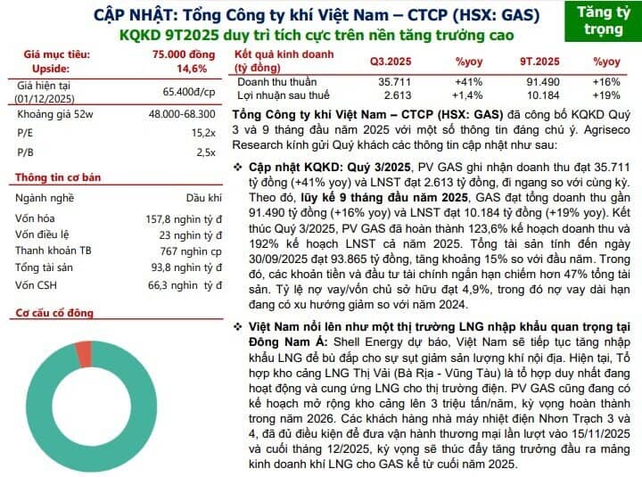 Nhu cầu nhập khẩu LNG tiếp tục tăng, một cổ phiếu dầu khí được khuyến nghị mua, tiềm năng tăng 16%