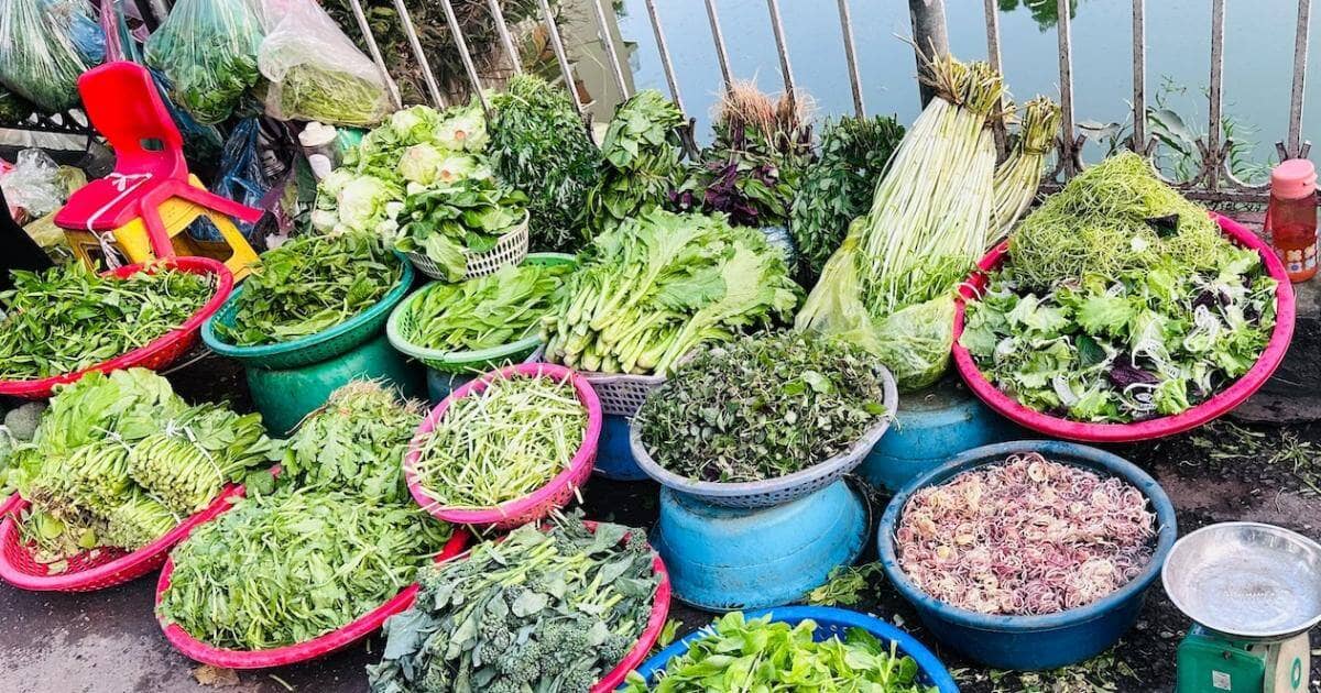 Giá rau xanh ở chợ giảm mạnh: Su hào 12.000 đồng/củ, cải mơ 50.000 đồng/kg