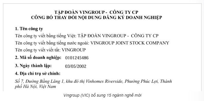Vingroup (VIC) bổ sung 15 ngành nghề mới