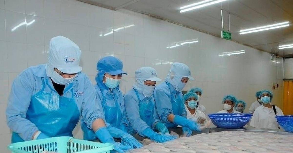 Nguy cơ “tắc” xuất khẩu thủy sản sang Mỹ
