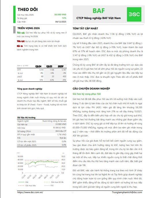 Giá heo vào sóng tăng vì dịch bệnh và bão lũ, DSC gợi ý cổ phiếu giúp NĐT ‘có tiền ăn Tết’